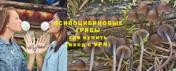 первитин Киреевск